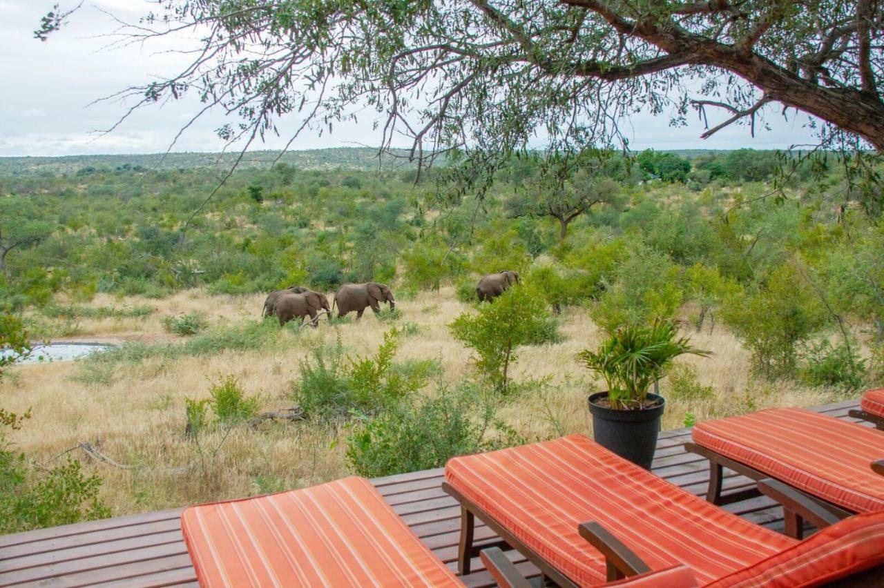 Casart Game Lodge Grietjie Game Reserve Exteriér fotografie