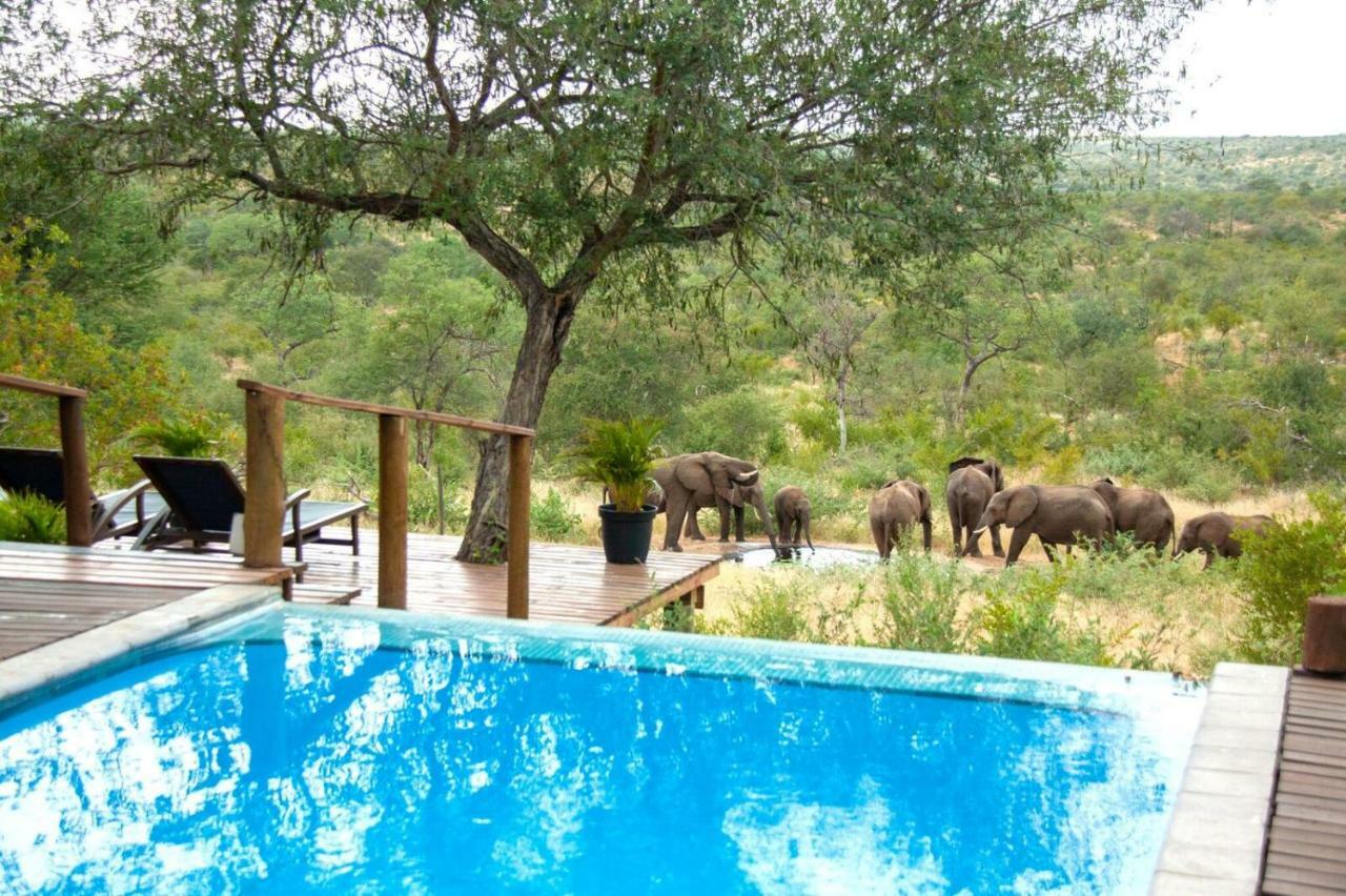 Casart Game Lodge Grietjie Game Reserve Exteriér fotografie